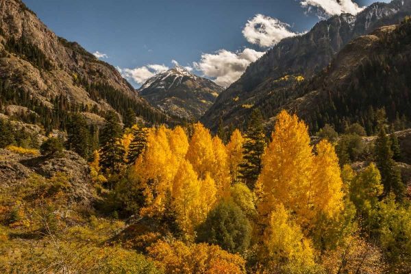 Colorado Autumn landscape in San Juan Mountains